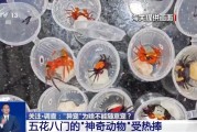 锡林郭勒盟@铲屎官们 养“异宠”或危害国家安全 这些行为违法了