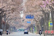 锡林郭勒盟共建“花园城市” 北京这场议政会“百花齐放”