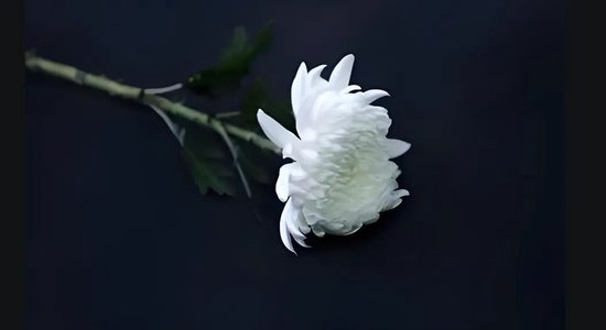 噩耗！证监会前副(✌)主席、深交所前理(🥪)事长陈东征去世！